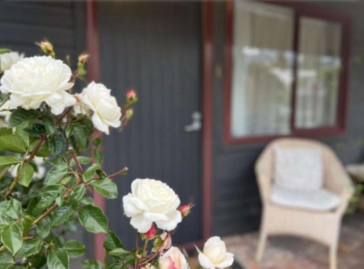 #2 Glenorchy Alpine Suite Eksteriør bilde